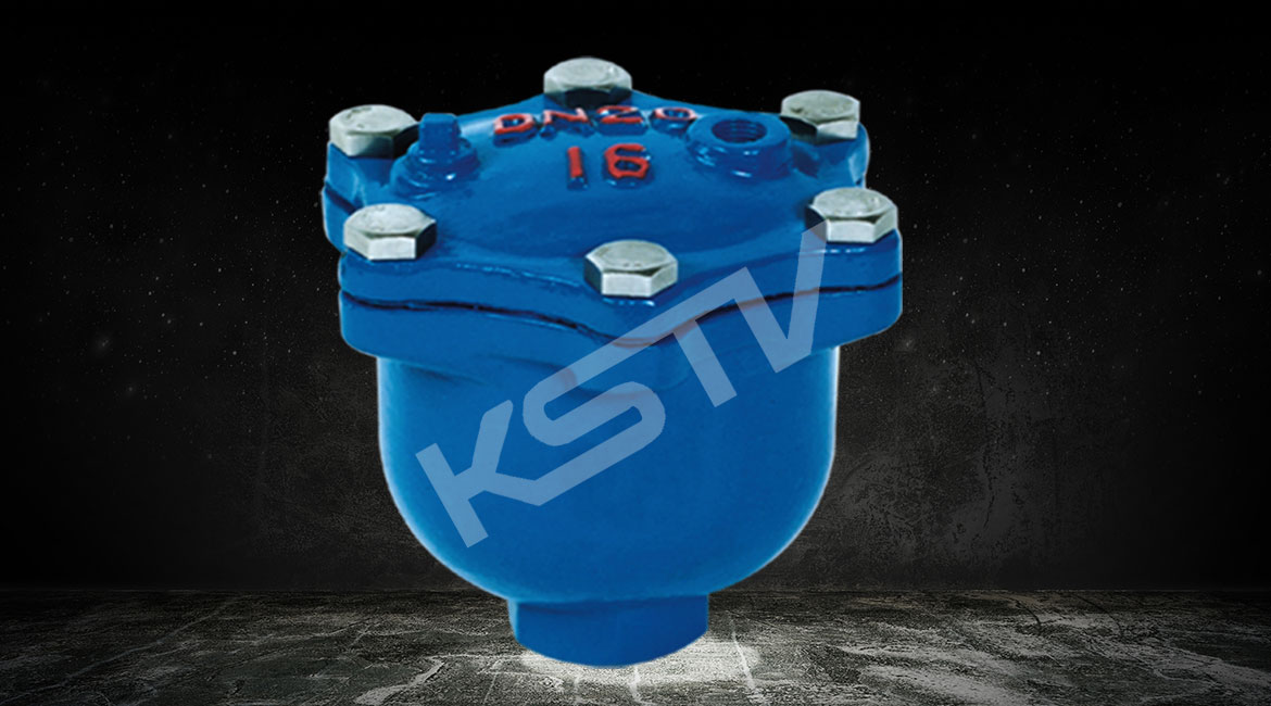 �Զ�������