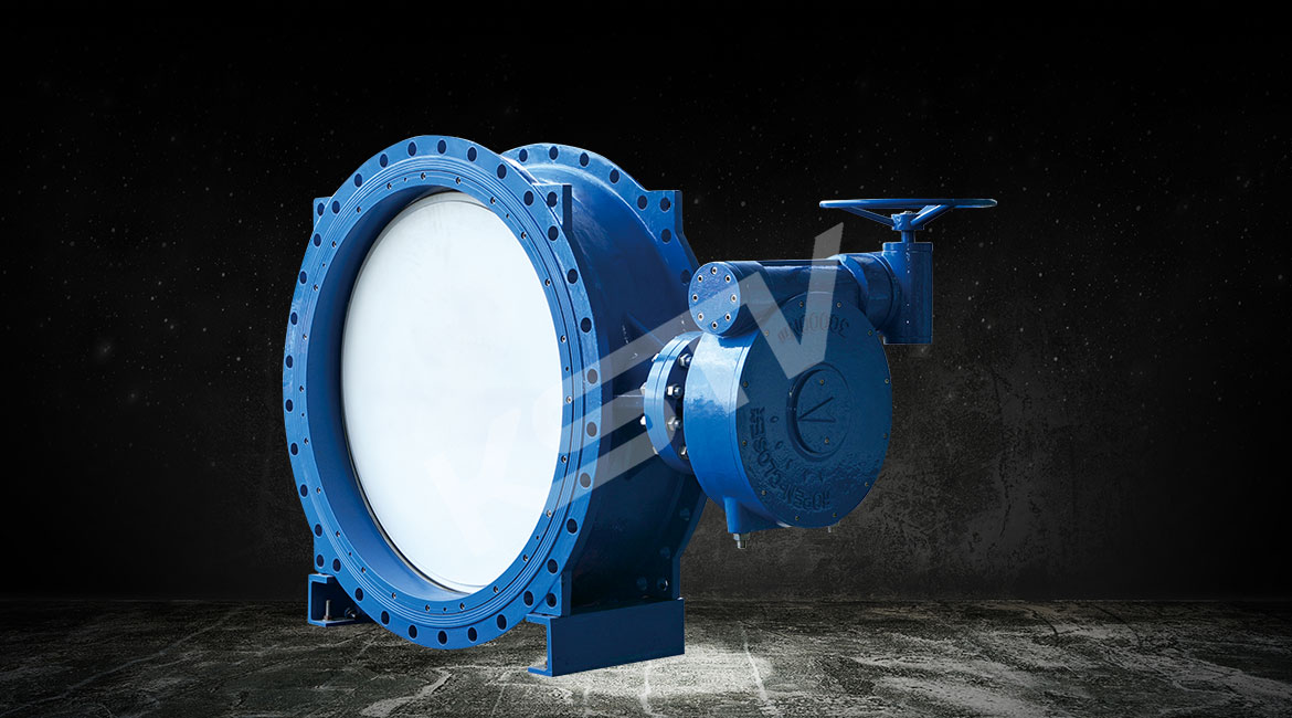 ����˫ƫ�ĵ���