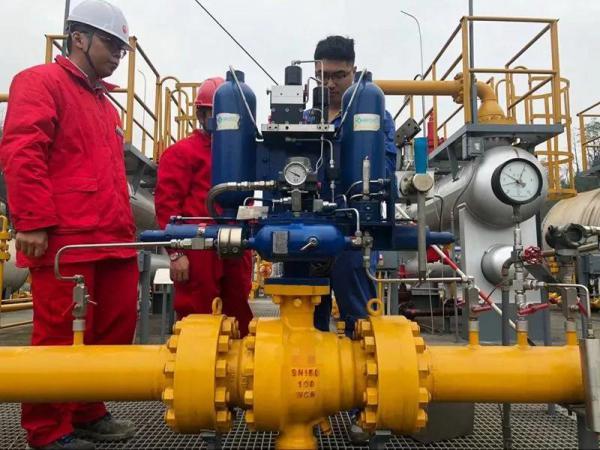 ����ɭ��������ִ��������ÿһ���������и���ȫ