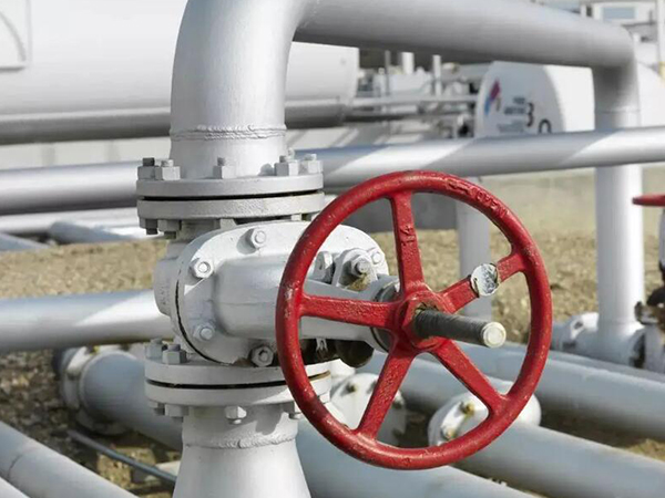 ����й¶��ԭ���Լ���������